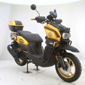 Vitacci Tank Pro X200 (carb).  13 inch rims, Blue Tooth, USB Charger, Electric Start, Locking Trunk, 13 inch rims, Dual Sport Tires, Flat deck Style floor, 31.5 Inch seat Height, Dual Disc Brakes